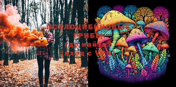 PSILOCYBIN Приозерск