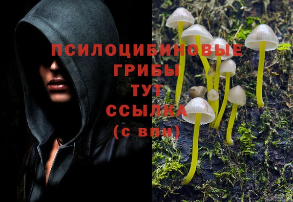 а пвп мука Баксан
